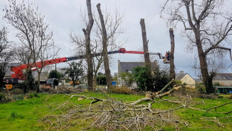 realisation 1776256954 01 - Pont l'Abbé Pays Bigouden