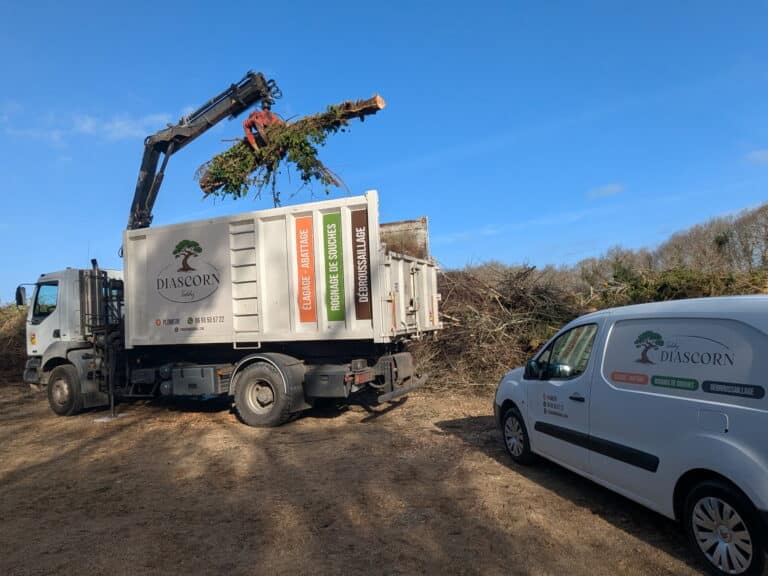 realisation 1776409046 04 - Pont l'Abbé Pays Bigouden